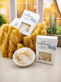 Iced Vanilla Woods goats milk sea sponge soap