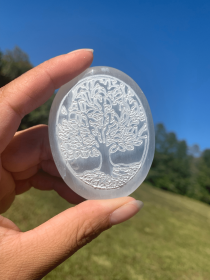 *Tree of Life Selenite Palmstone | Morocco